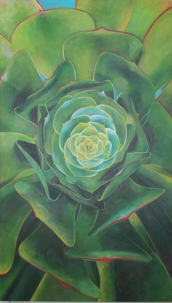 The Aeonium Heart